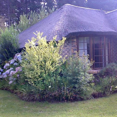 Coral Tree Cottages Harkerville Dış mekan fotoğraf