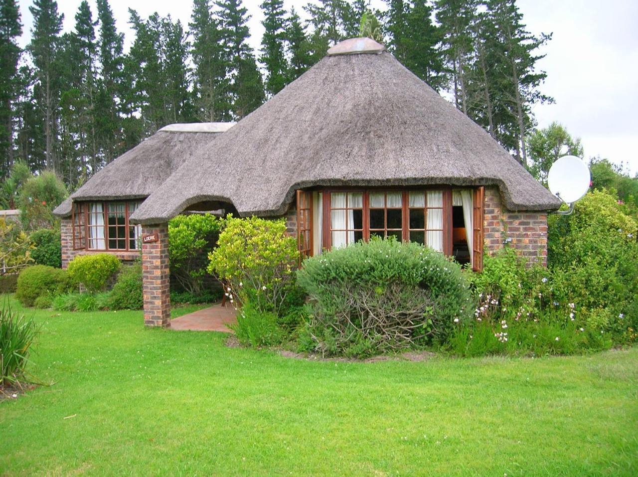 Coral Tree Cottages Harkerville Dış mekan fotoğraf